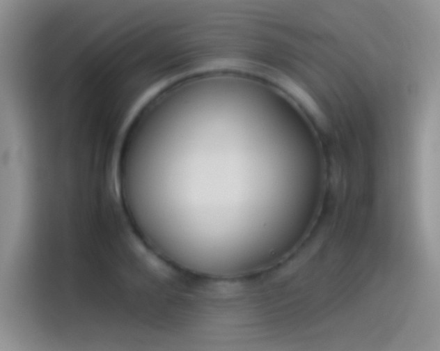 X0000114110888200910131340