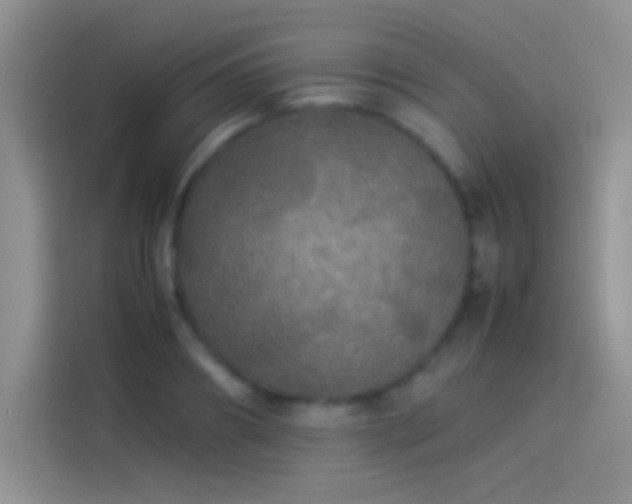 X0000114110890200910131340