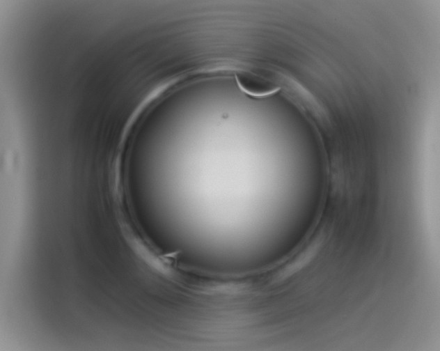 X0000114110892200910131340