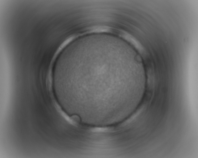 X0000114110894200910131340