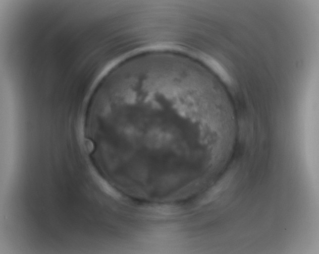X0000114110895200910131340