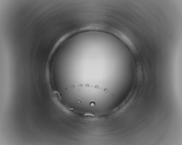 X0000114110896200910131340