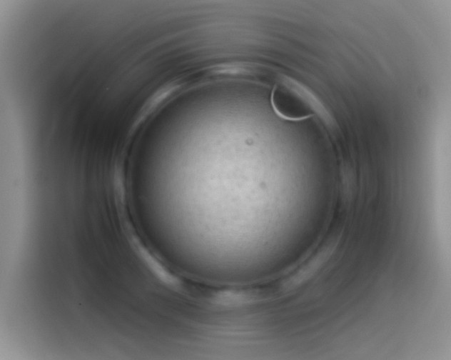 X0000114110898200910131340