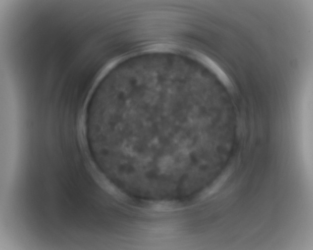 X0000114110899200910131340