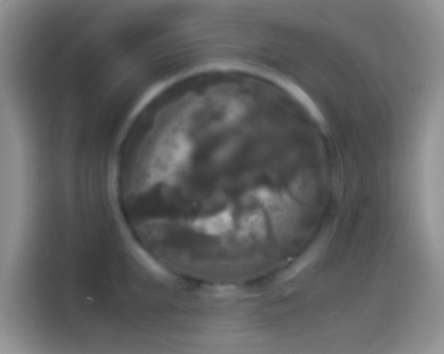X0000114110903200910131340