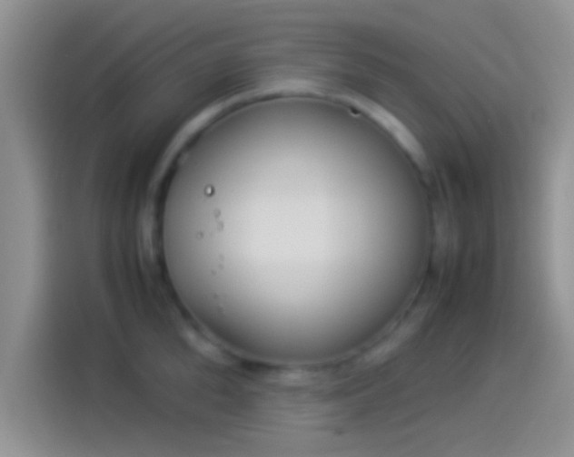 X0000114110904200910131340