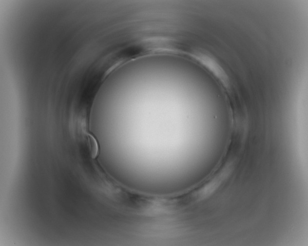 X0000114110905200910131340