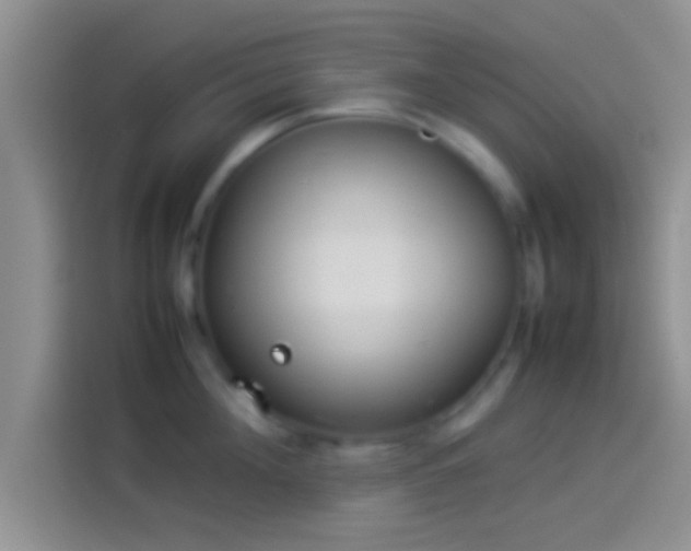 X0000114110908200910131340