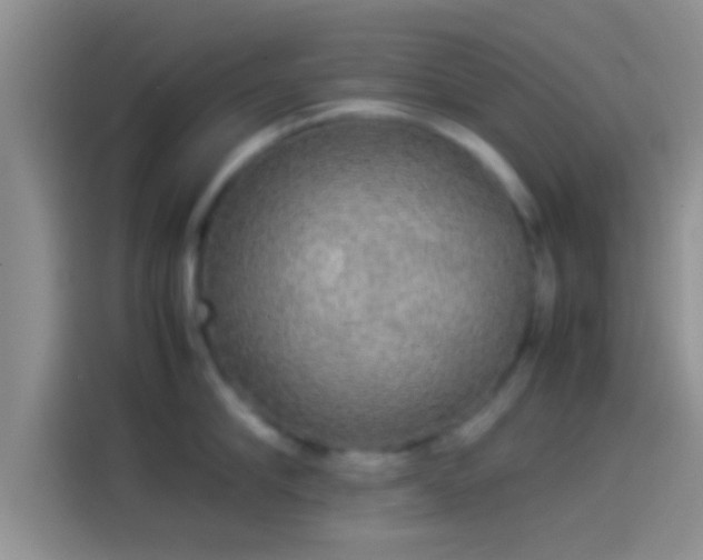 X0000114110910200910131340