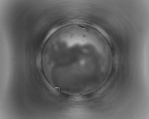 X0000114110911200910131340