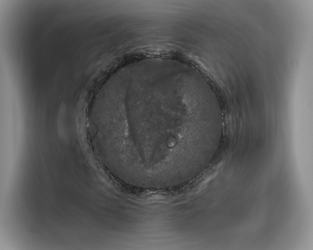 X0000114110913200910131339
