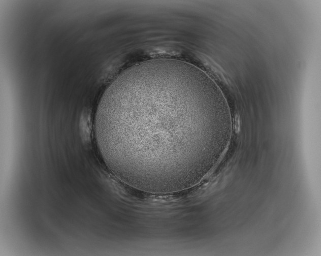 X0000114110915200910131339