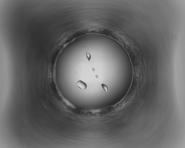 X0000114110916200910131339