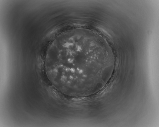 X0000114110917200910131339