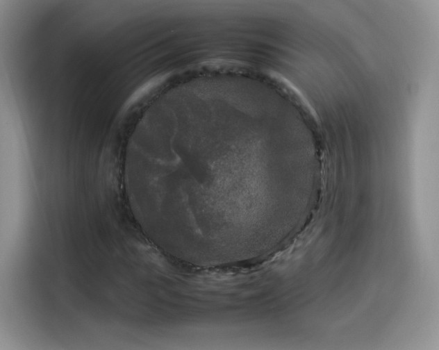X0000114110919200910131339