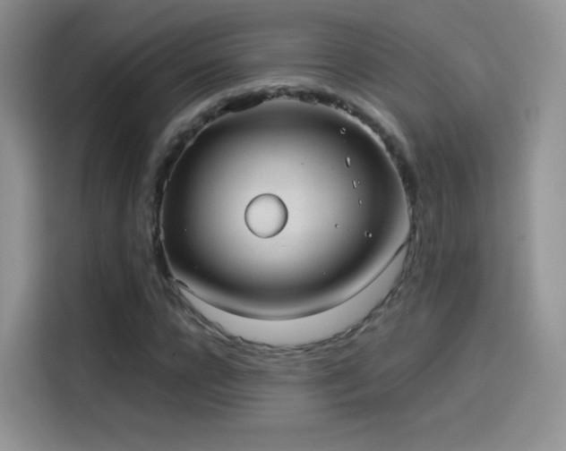 X0000114110920200910131339