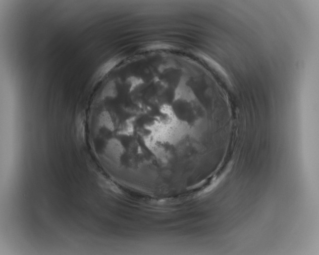X0000114110921200910131339