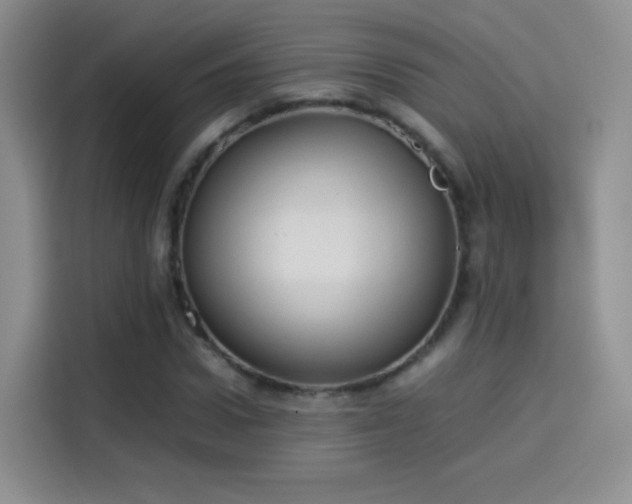 X0000114110922200910131339