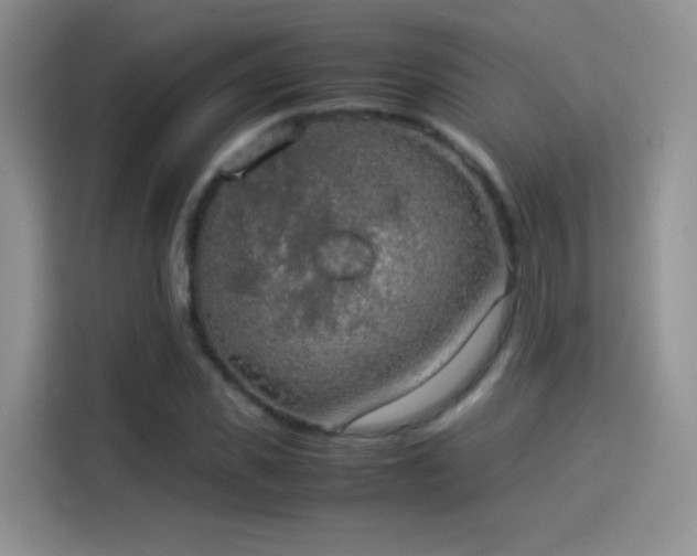 X0000114110925200910131340