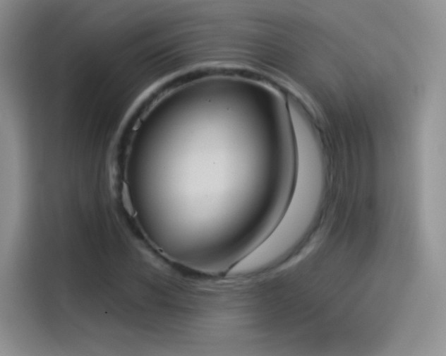 X0000114110926200910131340