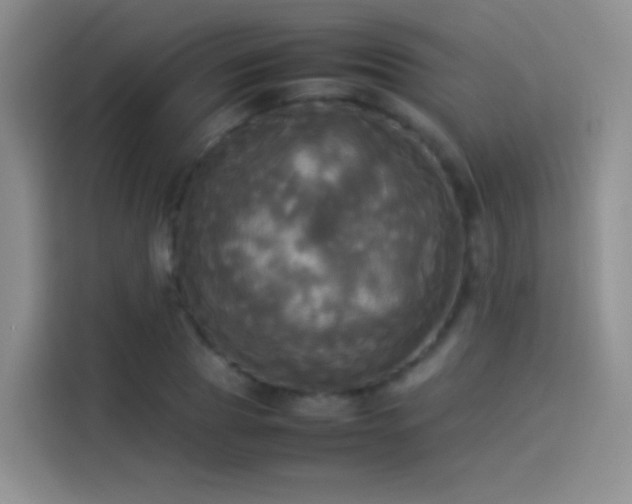 X0000114110929200910131340