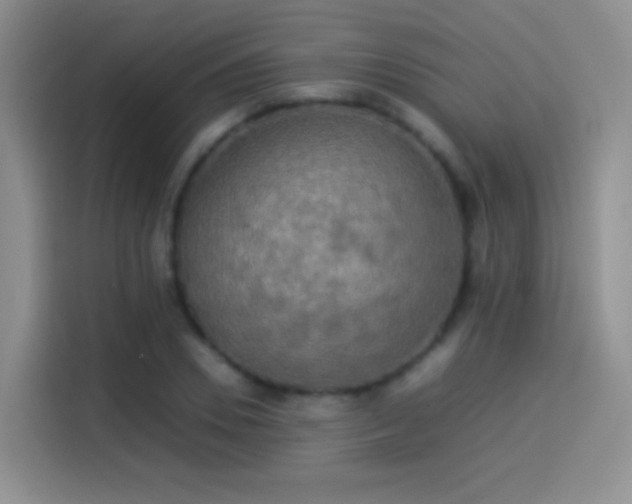 X0000114110930200910131340