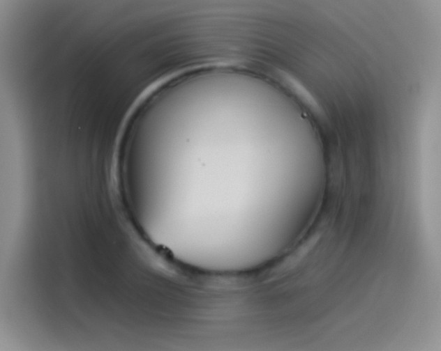 X0000114110932200910131340
