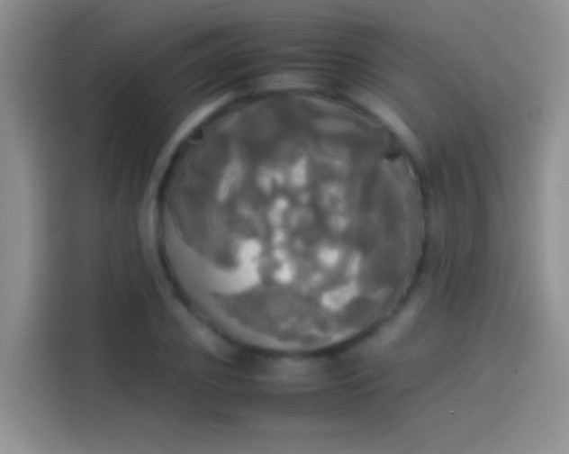 X0000114110933200910131340