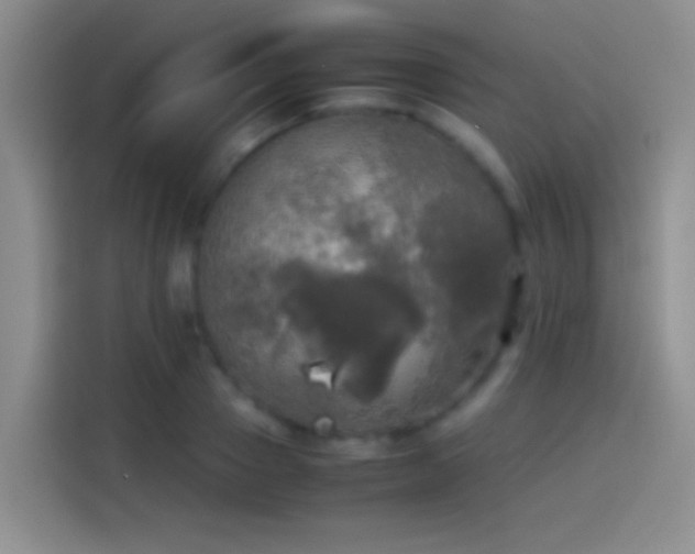 X0000114110937200910131340