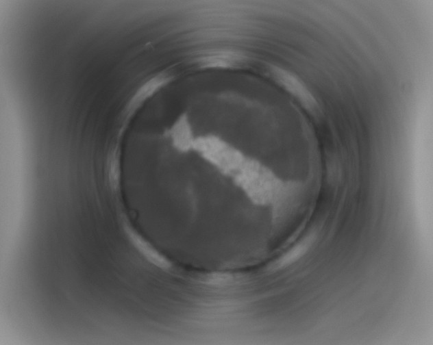 X0000114110938200910131340