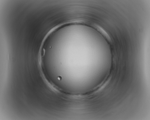 X0000114110940200910131340
