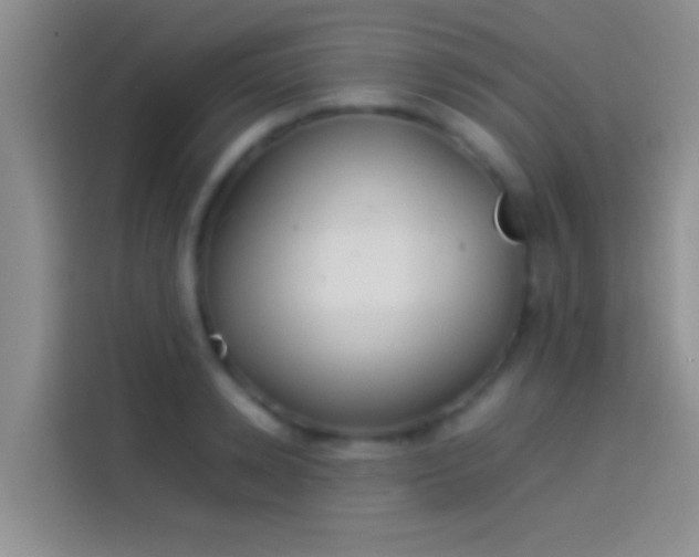 X0000114110942200910131340