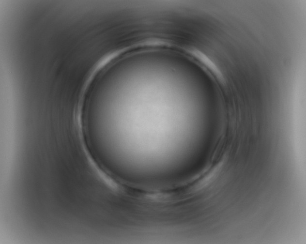 X0000114110943200910131340