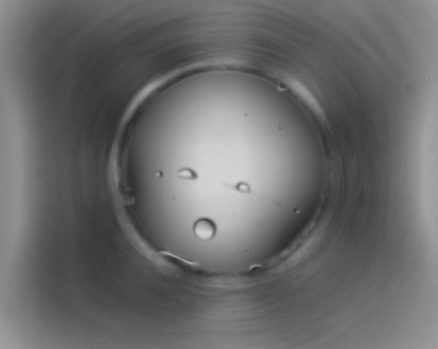 X0000114110944200910131340