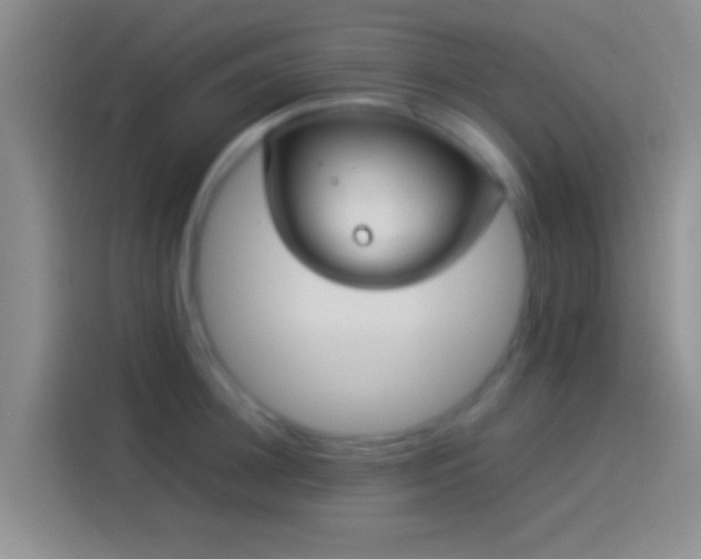 X0000114110948200910131340