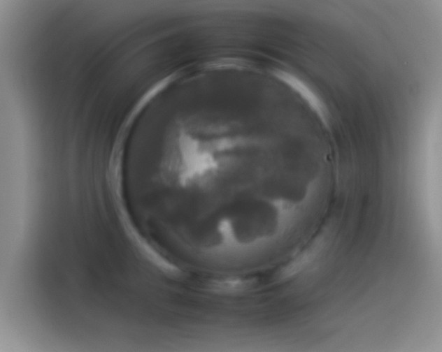 X0000114110949200910131340