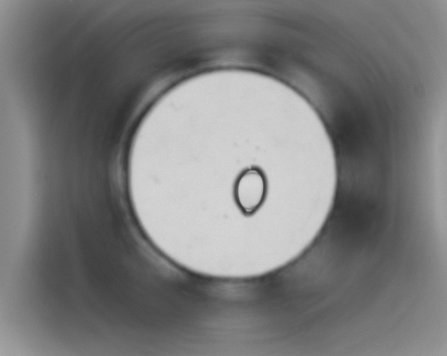 X0000114110950200910131340