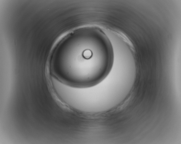 X0000114110952200910131340