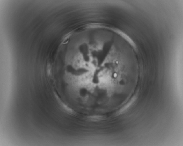 X0000114110953200910131340