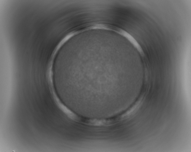 X0000114110955200910131340