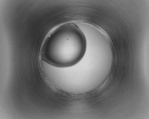 X0000114110956200910131340