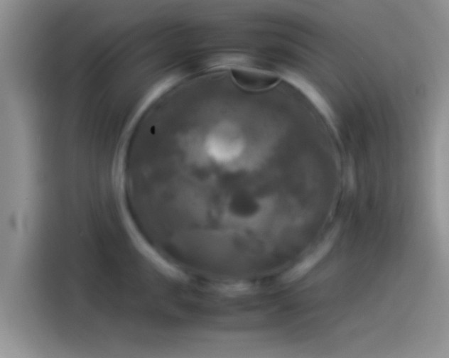 X0000114110957200910131340
