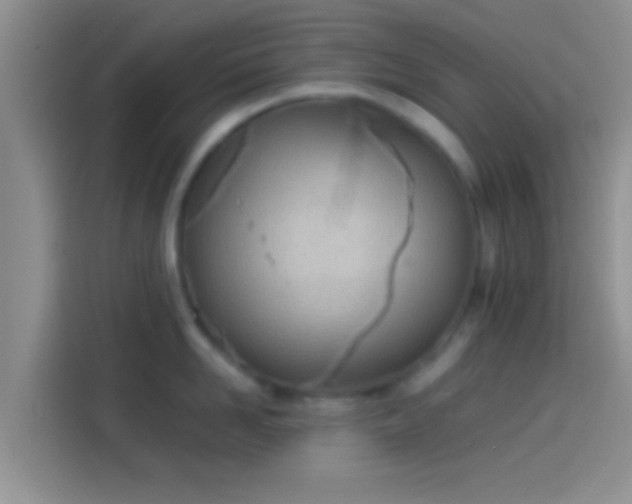 X0000114110958200910131340