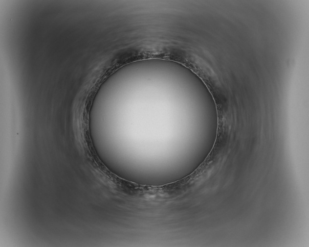 X0000114110961200910131339