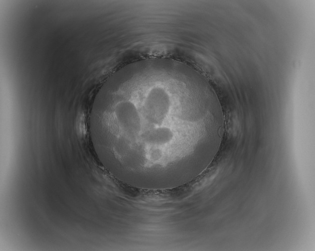 X0000114110962200910131339