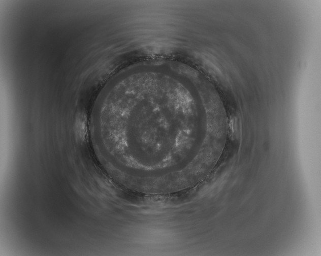 X0000114110963200910131339