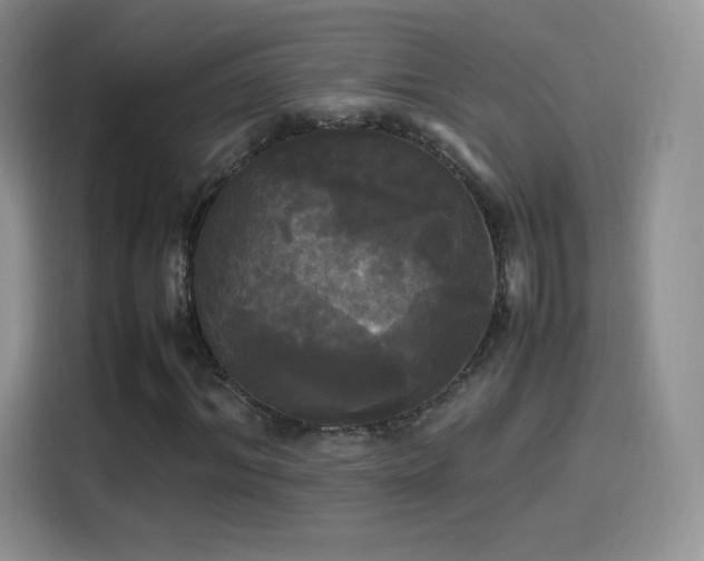 X0000114110964200910131339