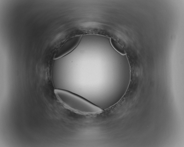 X0000114110965200910131339