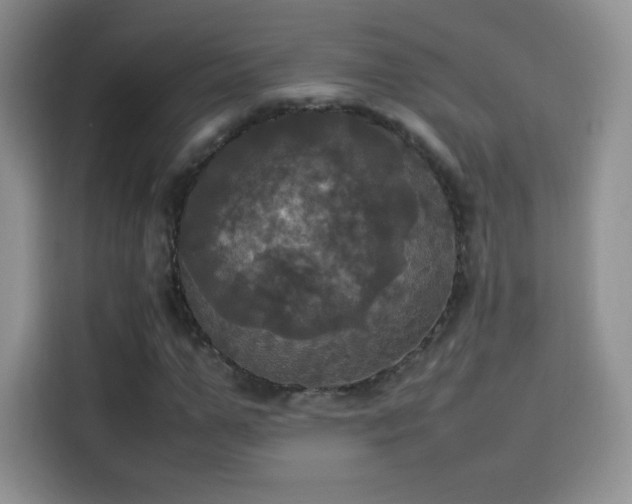 X0000114110967200910131339
