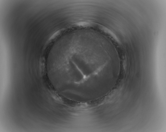 X0000114110968200910131339